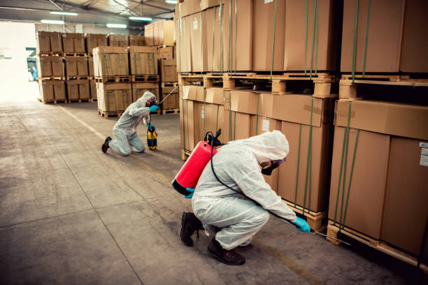 Best Emergency Pest Control  in Hartsville, SC