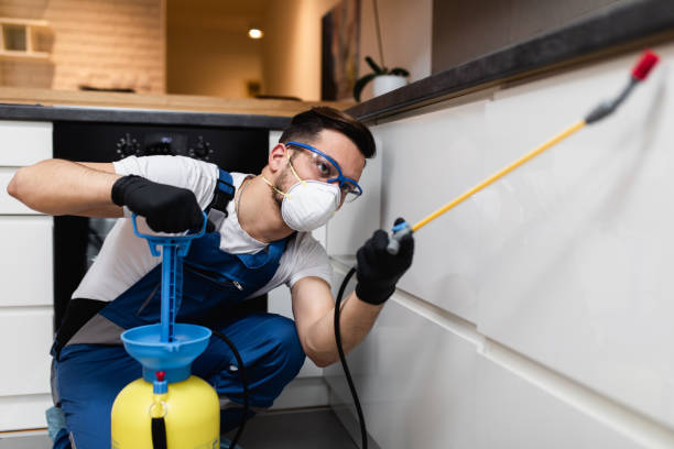 Wasp Removal Services in Hartsville, SC