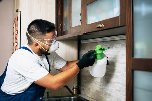 Best Pest Inspection Near Me  in Hartsville, SC