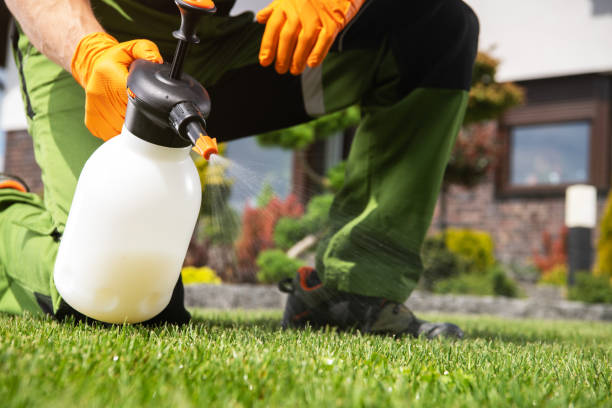 Best Affordable Pest Control Services  in Hartsville, SC