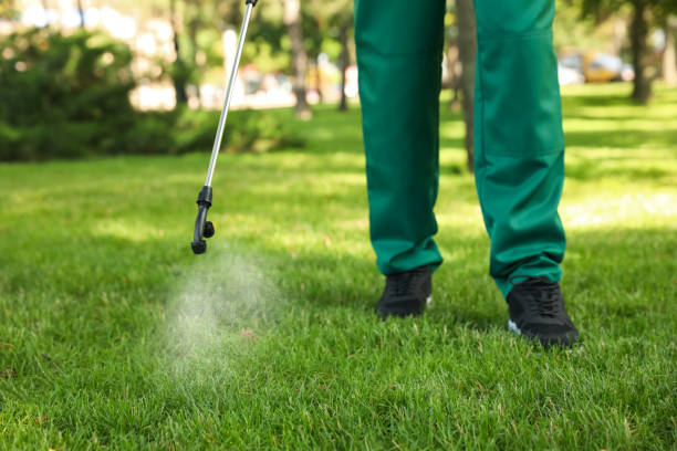 Best Emergency Pest Control  in Hartsville, SC