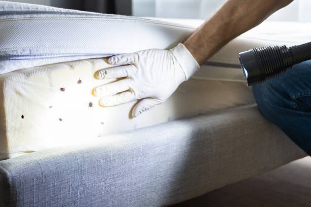 Best Exterminator Services  in Hartsville, SC