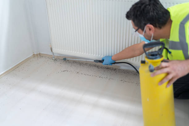 Best Pest Removal Services  in Hartsville, SC