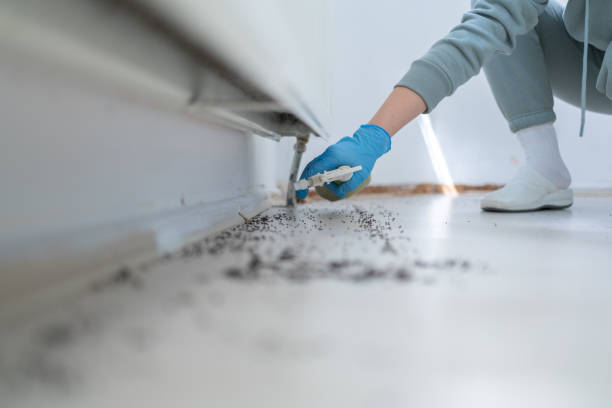 Best Pest Control Near Me in Hartsville, SC